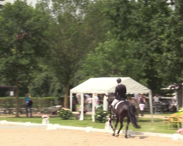 Reitturnier Greven 2020