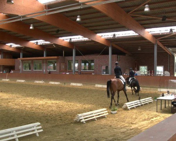 Reitturnier Seppenrade 2020