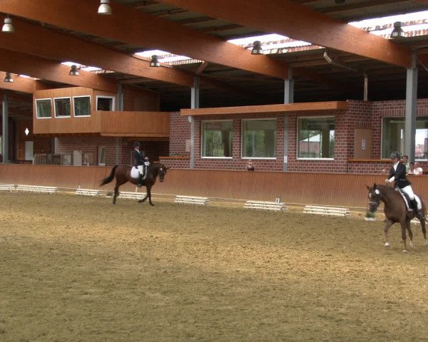 Reitturnier Seppenrade 2020
