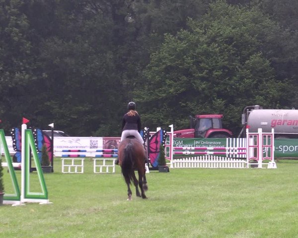 Reitturnier Greven 2020