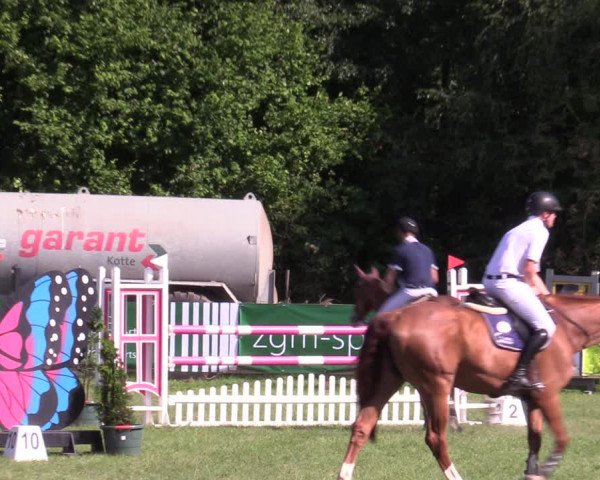 Reitturnier Greven 2020
