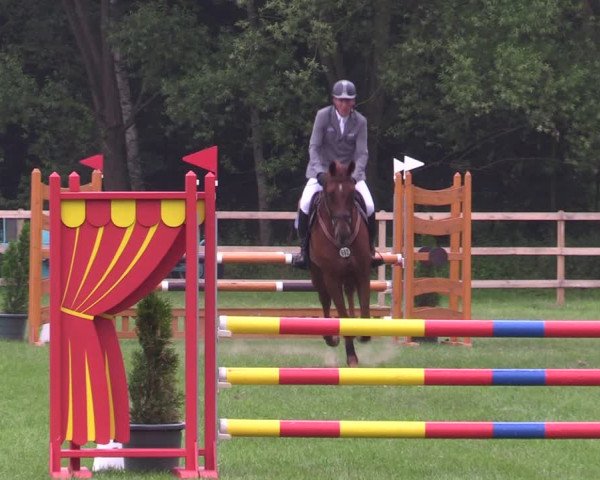 Reitturnier Greven 2020