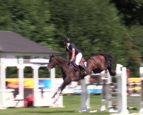 Reitturnier Greven 2020