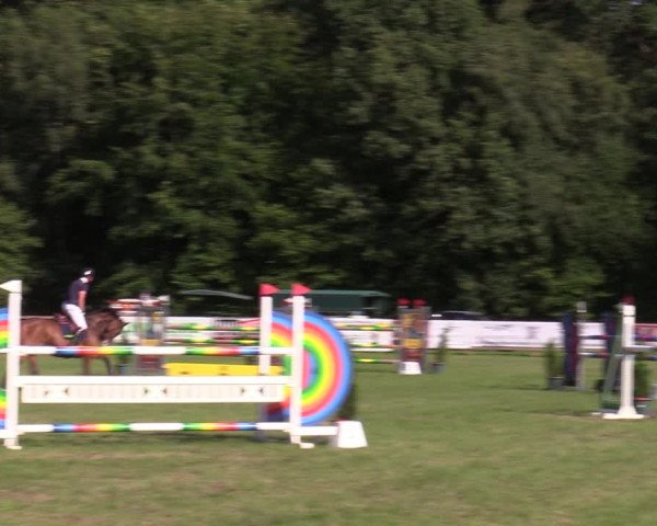 Reitturnier Greven 2020