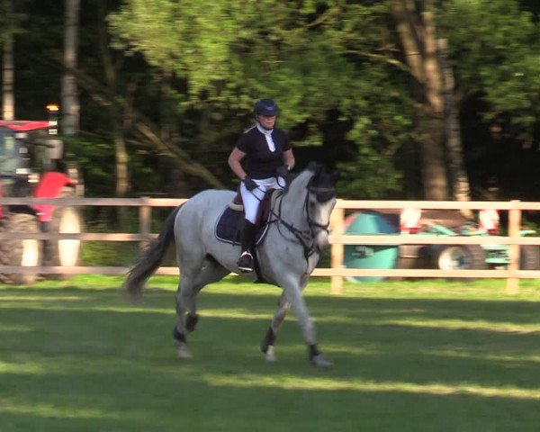 Reitturnier Greven 2020