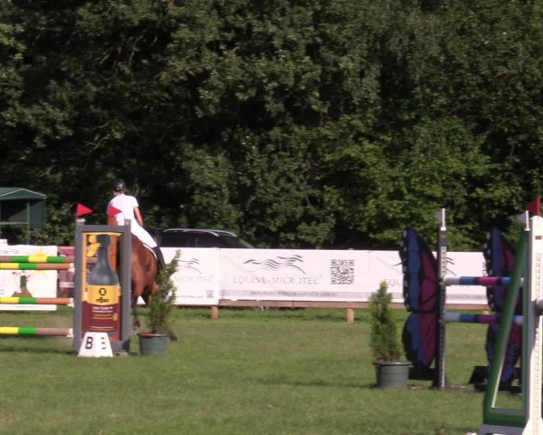 Reitturnier Greven 2020