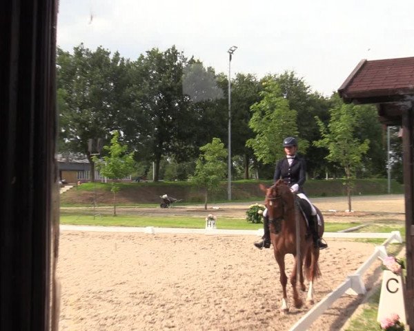 Reitturnier Greven 2020