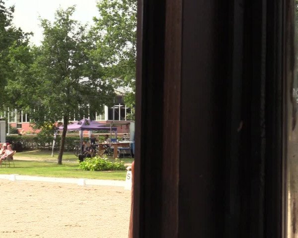 Reitturnier Greven 2020