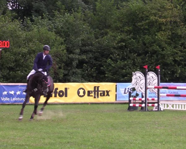 Reitturnier Greven 2020