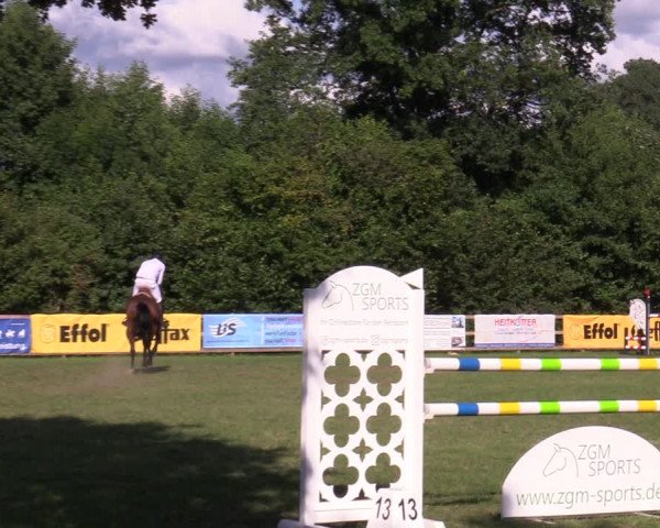 Reitturnier Greven 2020