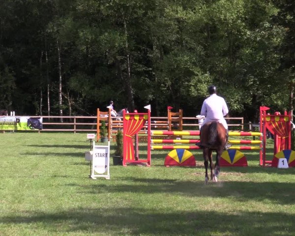 Reitturnier Greven 2020