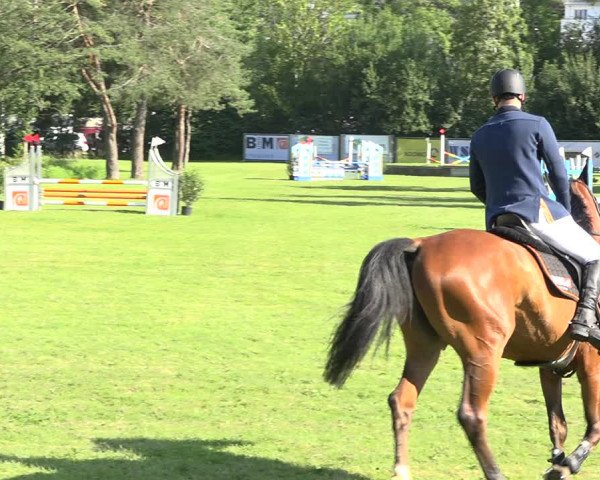 Reitturnier Wil 2020