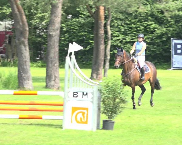 Reitturnier Wil 2020