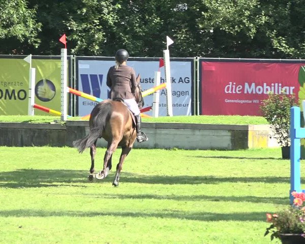 Reitturnier Wil 2020