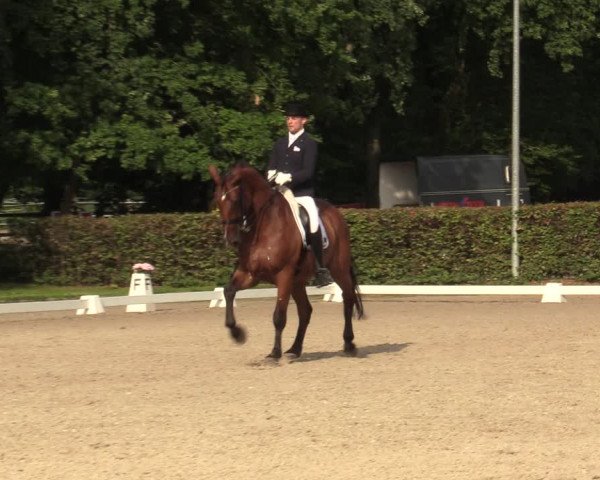 Reitturnier Greven 2020