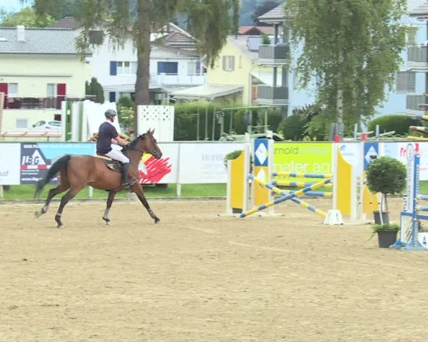 Reitturnier Dagmersellen 2020