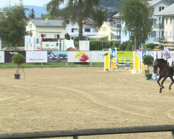 Reitturnier Dagmersellen 2020