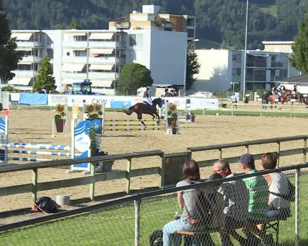 Reitturnier Dagmersellen 2020