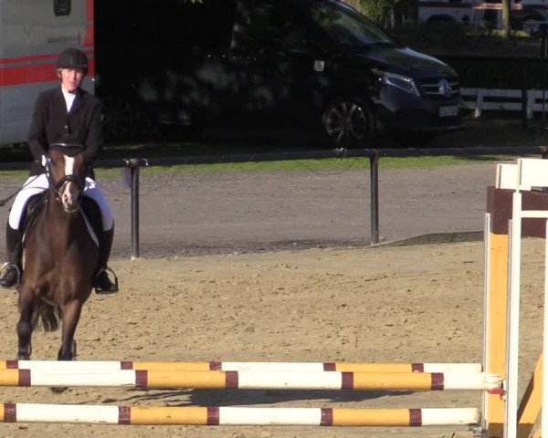 Reitturnier Hamm-Rhynern 2020
