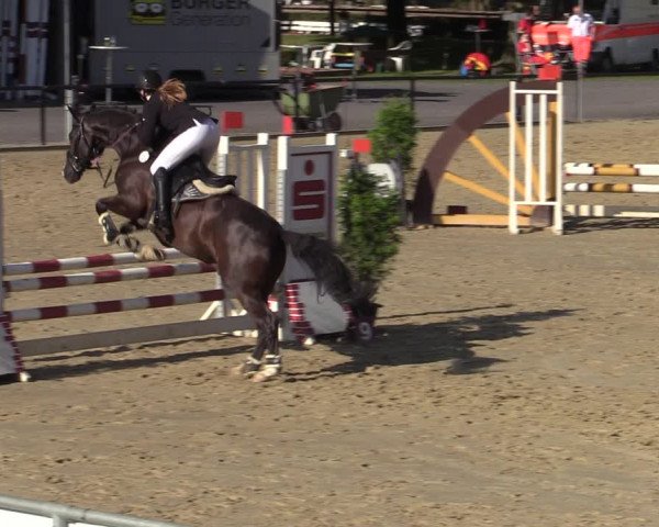 Equestrian Show Hamm-Rhynern 2020