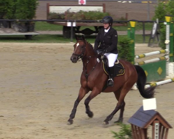Reitturnier Hamm-Rhynern 2020