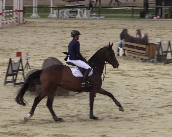 Reitturnier Hamm-Rhynern 2020
