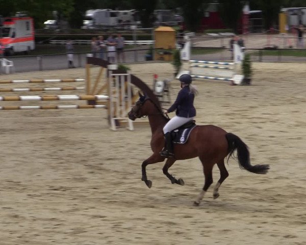 Reitturnier Hamm-Rhynern 2020