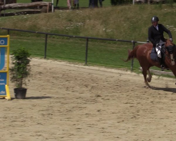 Reitturnier Hamm-Rhynern 2020