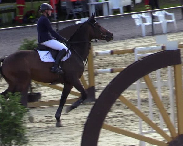 Reitturnier Hamm-Rhynern 2020