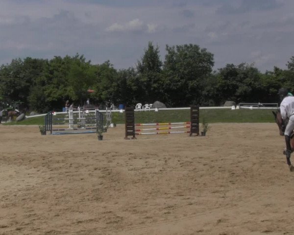 Reitturnier Pietzpuhl 2020