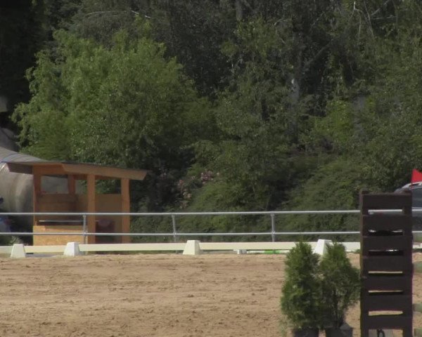 Reitturnier Pietzpuhl 2020