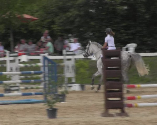 Reitturnier Pietzpuhl 2020