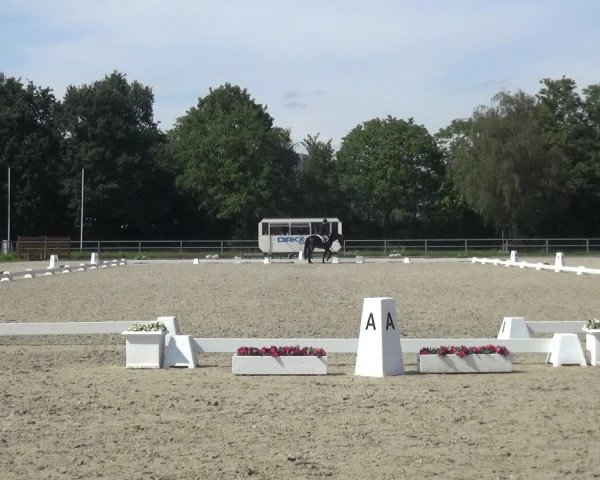 Reitturnier Langenfeld - Gut Langfort 2020