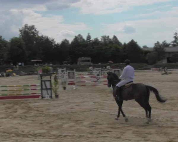 Reitturnier Pietzpuhl 2020