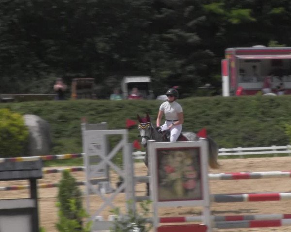 Reitturnier Pietzpuhl 2020