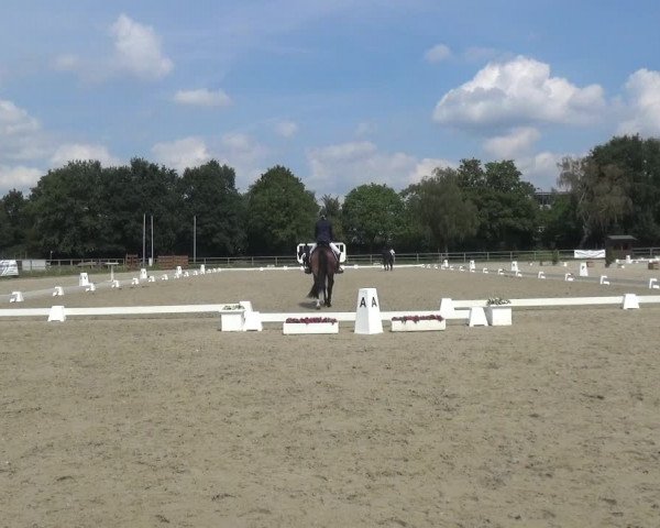 Reitturnier Langenfeld - Gut Langfort 2020