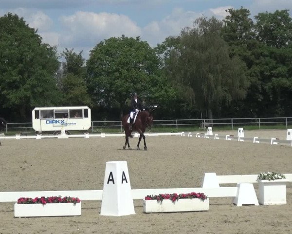 Reitturnier Langenfeld - Gut Langfort 2020