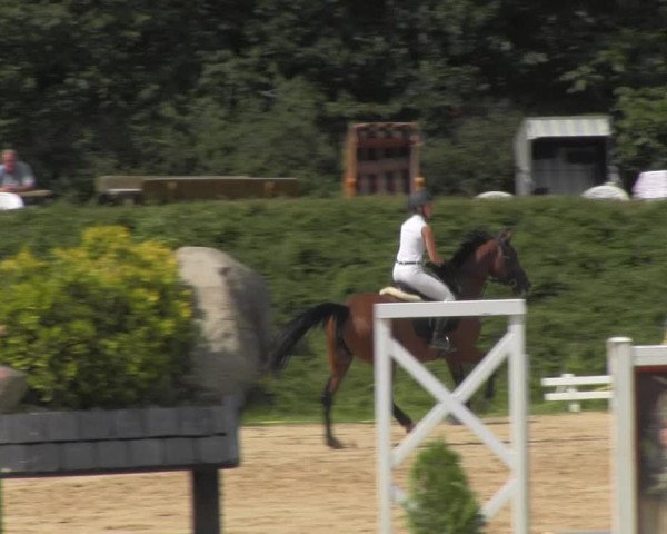 Reitturnier Pietzpuhl 2020