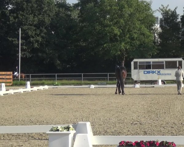 Reitturnier Langenfeld - Gut Langfort 2020