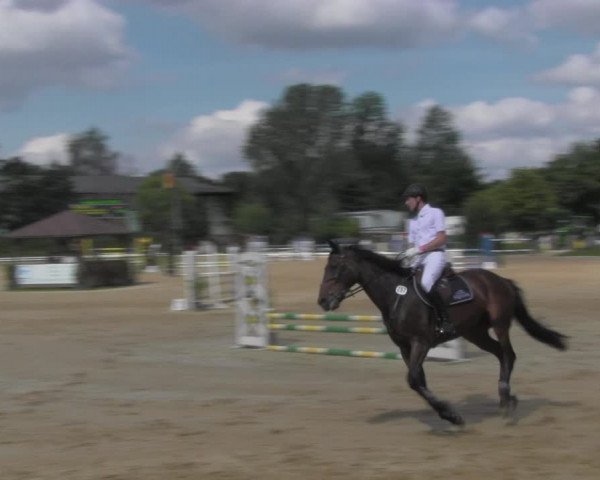 Reitturnier Pietzpuhl 2020