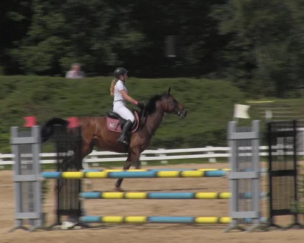 Reitturnier Pietzpuhl 2020