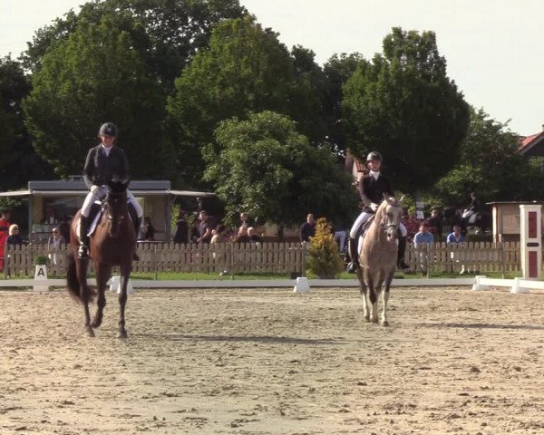 Reitturnier Schülp / Rendsburg 2020