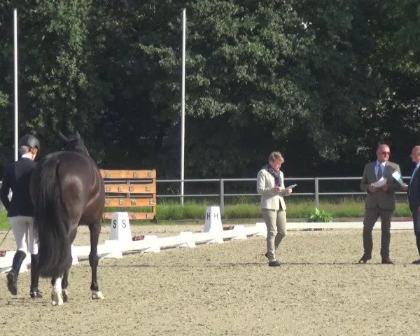 Reitturnier Langenfeld - Gut Langfort 2020