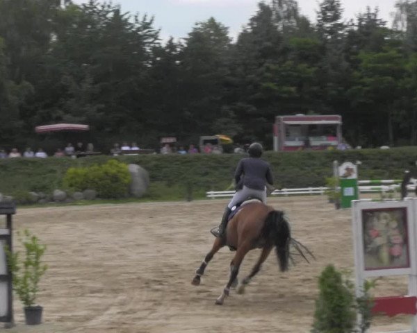 Reitturnier Pietzpuhl 2020