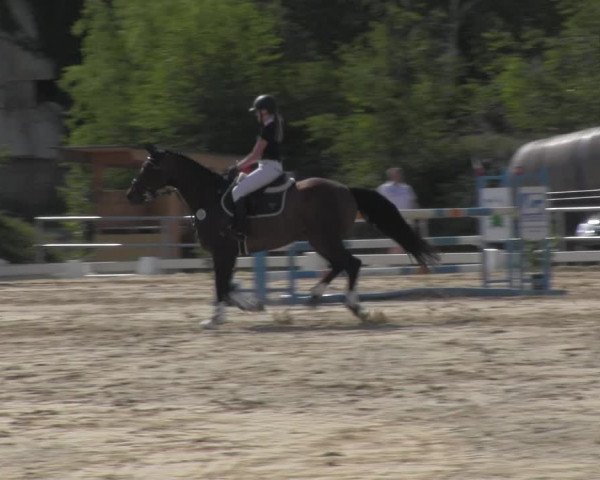Reitturnier Pietzpuhl 2020