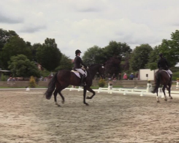 Reitturnier Schülp / Rendsburg 2020