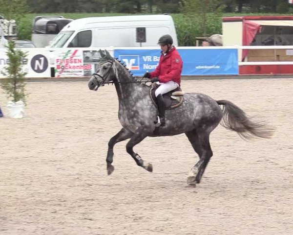 Reitturnier Ladelund 2020
