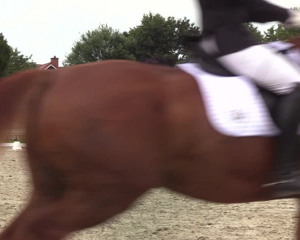 Reitturnier Schülp / Rendsburg 2020