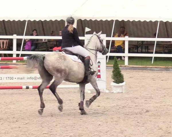 Reitturnier Ladelund 2020