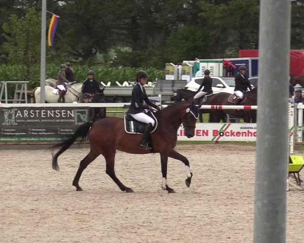 Reitturnier Ladelund 2020